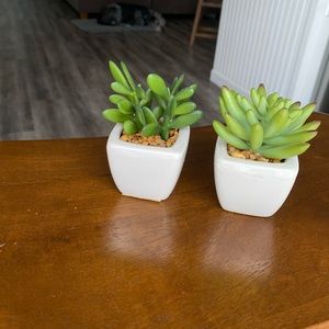 Fake succulent plant